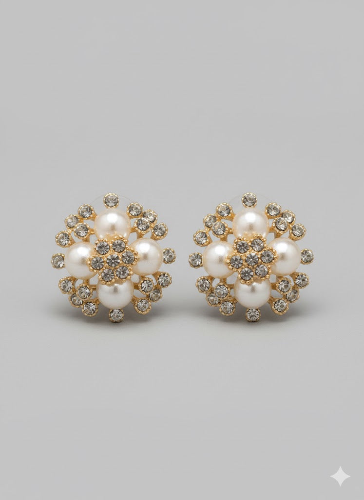 Earring Stainless Steel - 136