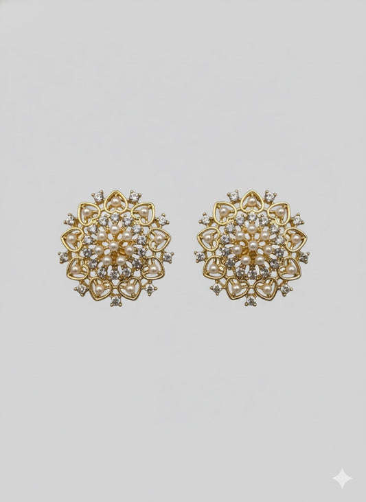 Earring Stainless Steel - 138