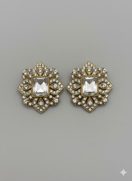 Earring Stainless Steel - 147