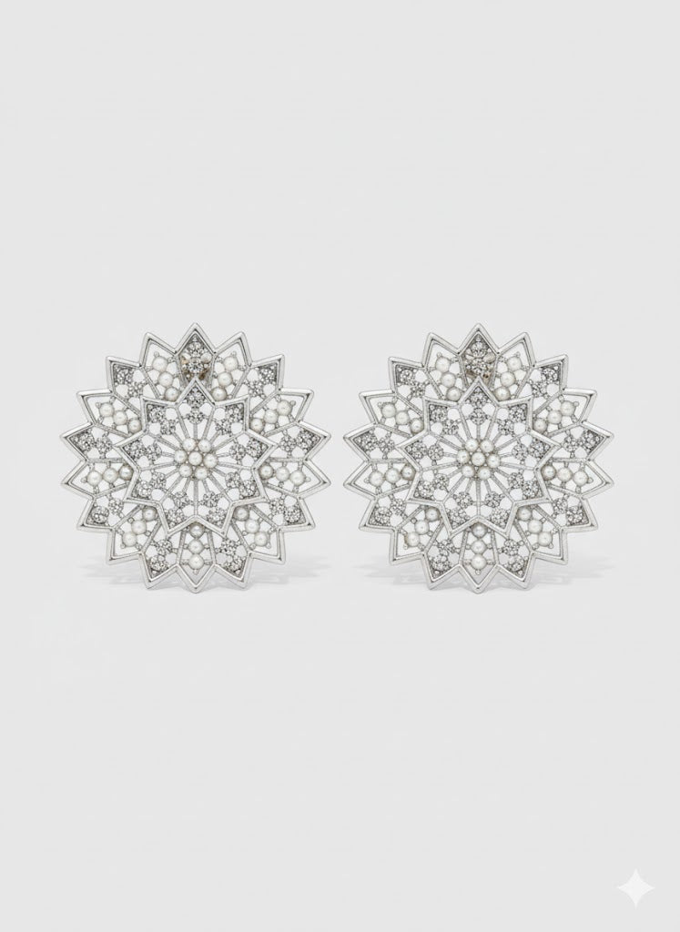 Earring Stainless Steel - 41