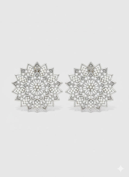 Earring Stainless Steel - 41