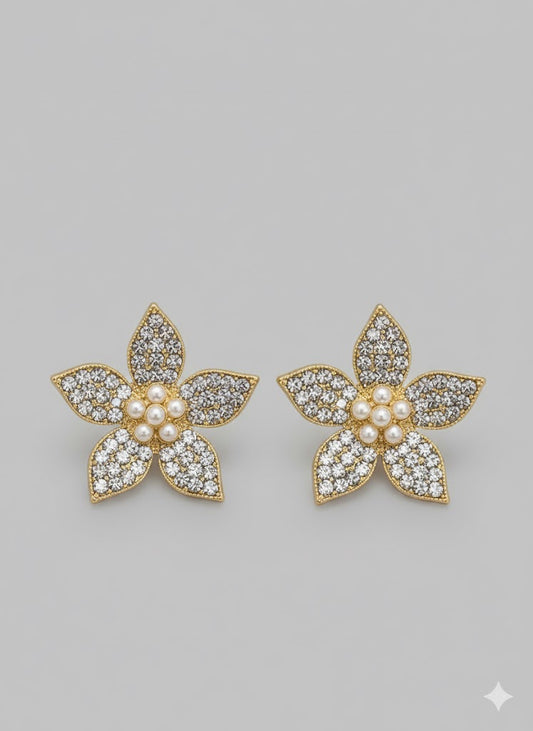 Earring Stainless Steel - 9